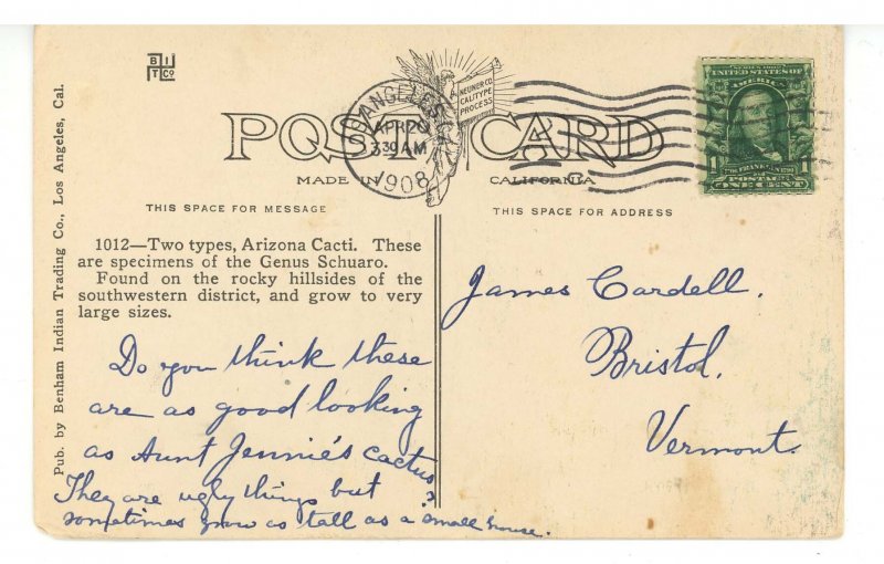 AZ - Arizona Cacti     (corner wear)