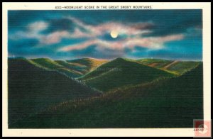 Moonlight Scene in the Great Smoky Mountains National Park
