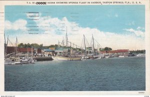 TARPON SPRINGS , Florida , 1936 ; Sponge Fishing Fleet in Harbor