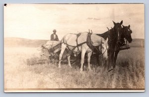 J89/ Interesting RPPC Postcard c1910 Harvest Scene Horse Farmer 544