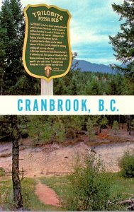 Canada British Columbia Cranbrook The Trilobite Fossil Beds Split View