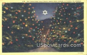 Christmas Tree Street, Santa Rosa Ave - Altadena, California CA  