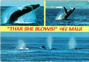 Multi Views of the Humpback Whale off Maui Hawaii Postcard posted 1982