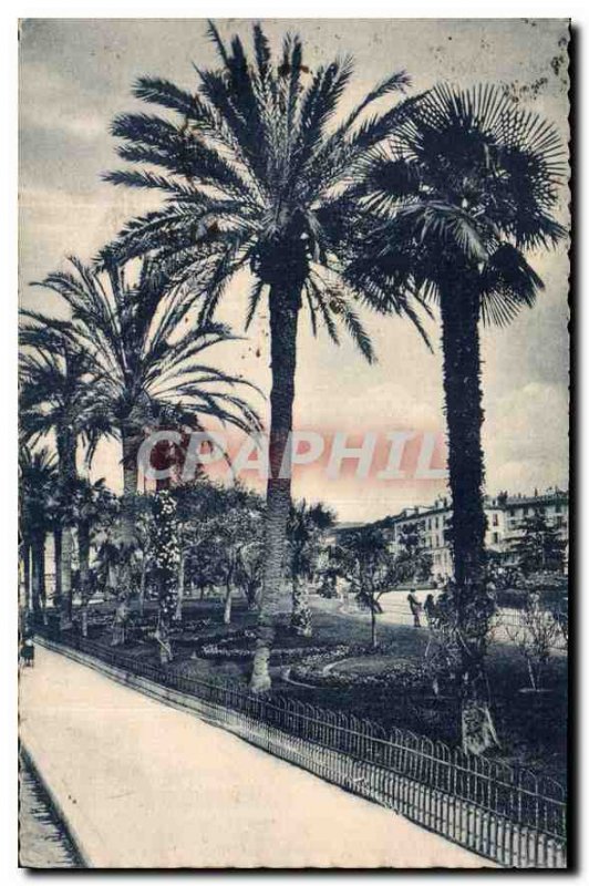 Postcard Old Nice A M the Albert I Gardens