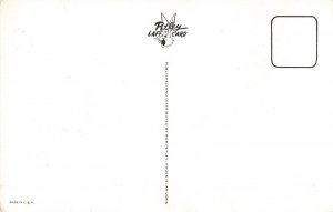 Coo-Coo Bird Cactus Bob Petly Comic Postcard 2R5-431