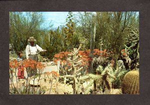 AZ Desert Plants Cactus Botanical Garden near Tempe & Phoenix Arizona Postcard