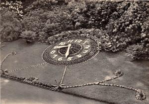 BG22777 hainichen sa blumenuhr im stadtpark  germany CPSM 14.5x9cm