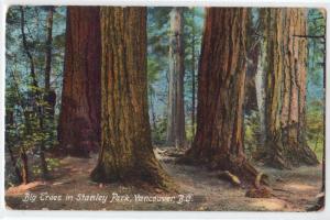 Stanley Park, Vancouver BC