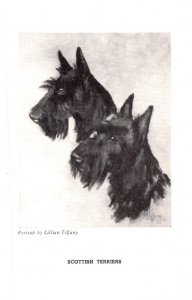 Dog, Scottish Terriers  ,  artist signed