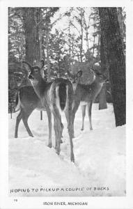 Iron River Michigan~Does in Winter Forest~Hoping to Pick Up Bucks~B&W Postcard