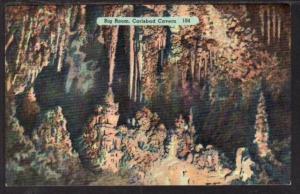 Big Room Carlsbad Caverns NM Postcard 5992