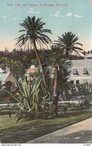Date Palm & Cactus , ST. GEORGES , Bermuda , 1930s