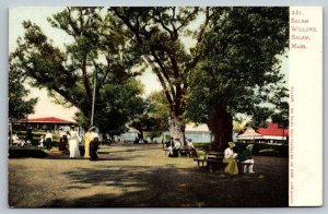 Vintage Massachusetts Postcard -  Salem Willows   Witch Town    c1905