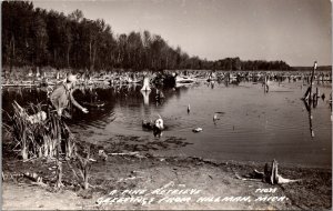 Real Photo Postcard Dog Retrieving from a Lake in Hillman, Michigan~138861