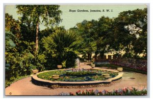 Hope Gardens Kingston Jamaica BWI UNP Linen Postcard O16
