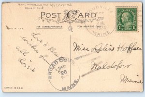 Season's Greeting Blue Birds Loudville Broad Cove ME DPO (1908-1960) Postcard