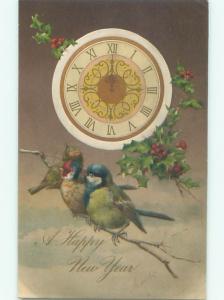 Divided-Back BIRDS SCENE Pretty Postcard AA9272