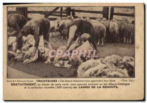 Postcard Old Knitters Advertisement Sheep Wool Redoubt