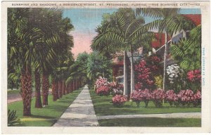 Sunshine & Shadows, Residential Street, St Petersburg FL, Vintage Linen Postcard