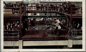 c1930 ATLANTIC CITY NJ YOUNG'S MILLION DOLLAR PIER FISHING HAUL POSTCARD 14-106 