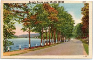 postcard Beauty Scene near Salem, Ohio -Landscape Scene S-388 Curt Teich 4A-H42