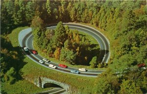 The Loop Over US 441, Great Smokey Mountain National Park Tennessee  Postcard