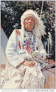 Indian Chief Of The Blackfoot Tribe