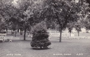 Nebraska Wahoo Scene In City Park Real Photo