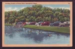 Feeding Ducks at Forest Park Springfield MA  Post Card 3620