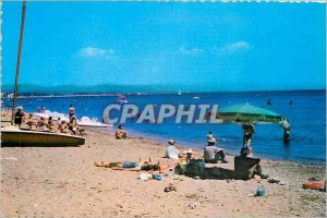 Modern Postcard Hyeres-les Palmiers