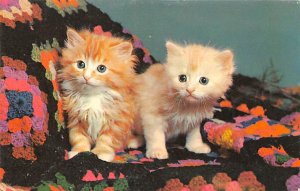 Sisters Color by Knight Cat 1961 