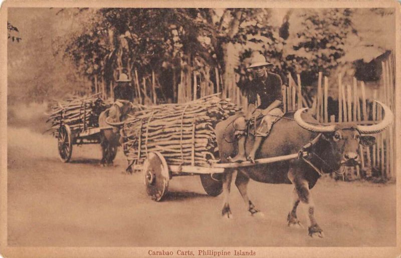 Philippine Islands Carabao Carts Water Buffalo Vintage Postcard AA19220
