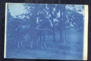 RPPC CYANOTYPE BROWNINGTON MISSOURI RFD MAIL WAGON REAL PHOTO POSTCARD MO.