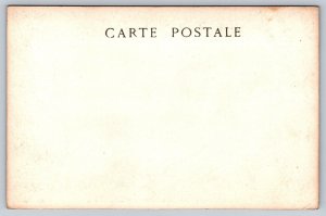 RPPC  Museum Du Luxembourg  Guillaume  Les Gracques   Postcard