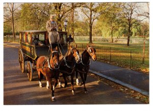 Horse Drawn, Shillibeer Omnibs, First Bus, London, England