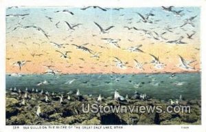 Sea Gulls - Great Salt Lake, Utah UT  