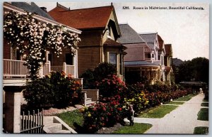 Vtg California CA Roses in Winter Residential Homes Houses 1910s View Postcard