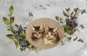 PC CATS, TWO CATS WITH FLOWERS, Vintage LITHO Postcard (b47166)