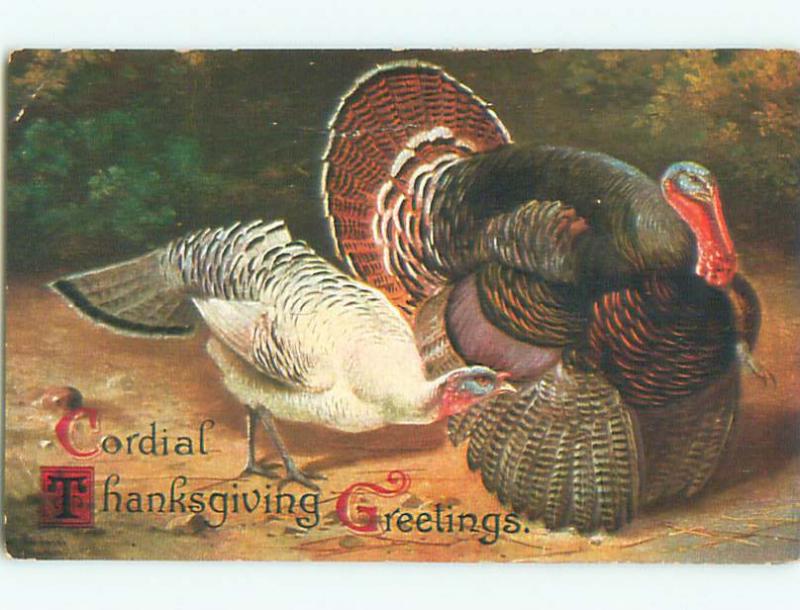 Pre-Linen thanksgiving WHITE TURKEY BESIDE COLORFUL TURKEY k8904