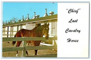 1973 Chief Last Cavalry Horse Chief Military Service Vintage Antique KS Postcard