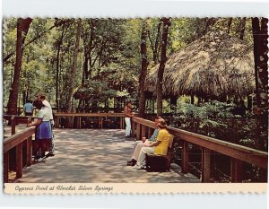 Postcard Cypress Point at Florida's Silver Springs, Florida