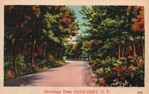 Vintage Postcard 1944 Greetings From Pond Eddy New York Roadside Attraction NYCE