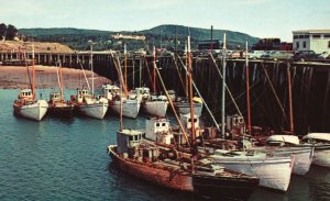 Vintage Postcard Scallop Boats At Digby Wharf Nova Scotia Canada By Plastichrome