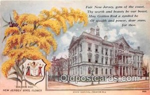 Goldenrod, State Capitol Trenton, NJ, USA Unused 