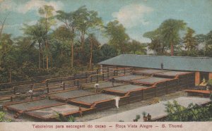 Sao Thome Tome Roca Vista Alegre Tabaleros Old Postcard