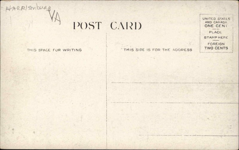 Harrisonburg VA Hotel Massanetta From Grove c1910 Postcard 