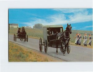 Postcard An Amish Family Carriage Ohio Dutch Country Ohio USA