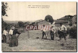 Old Postcard Folklore Work champetres wheat Drummers in field