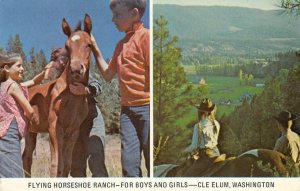 FLYING HORSESHOE RANCH Cle Elum, WA Summer Camp 1973 Vintage Postcard