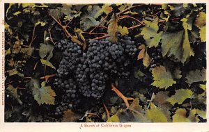 A Cluster of Grapes Fruit Unused 